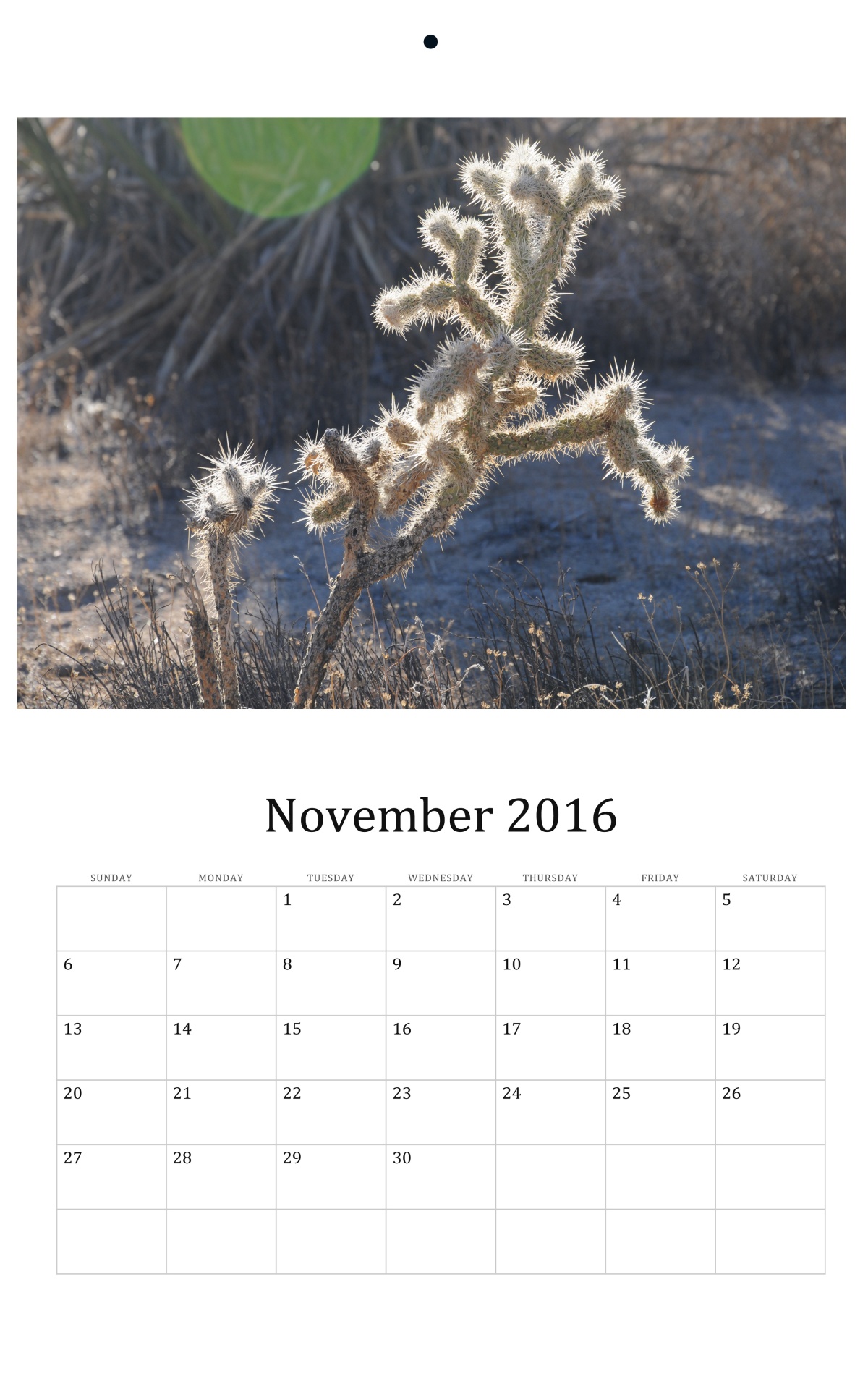 2016 2016 calendar november free photo