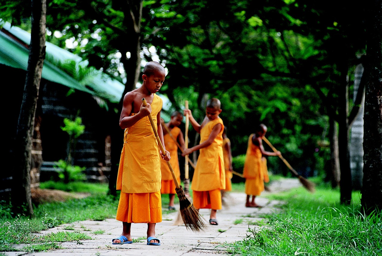 novices buddhist work free photo