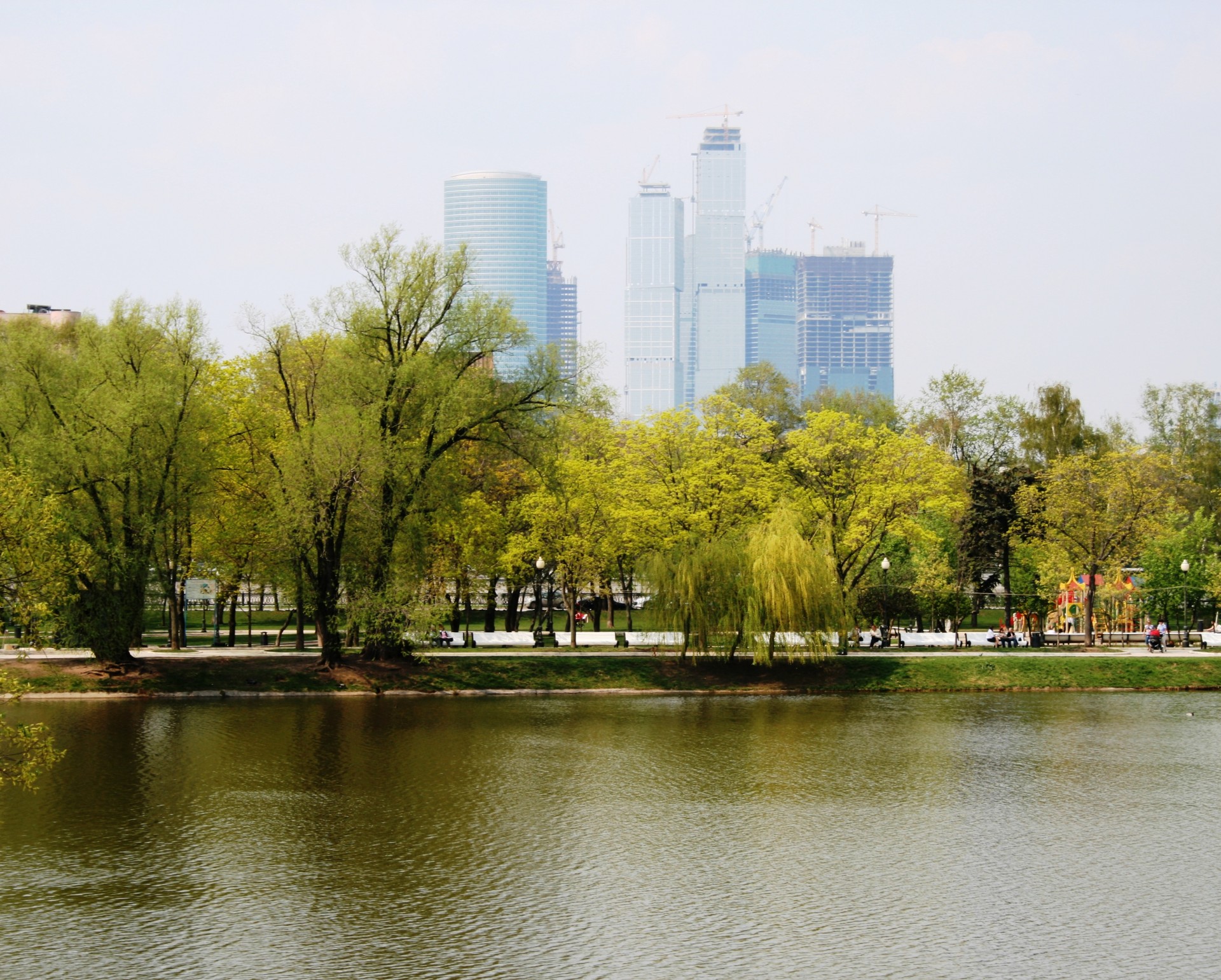 pond water trees free photo