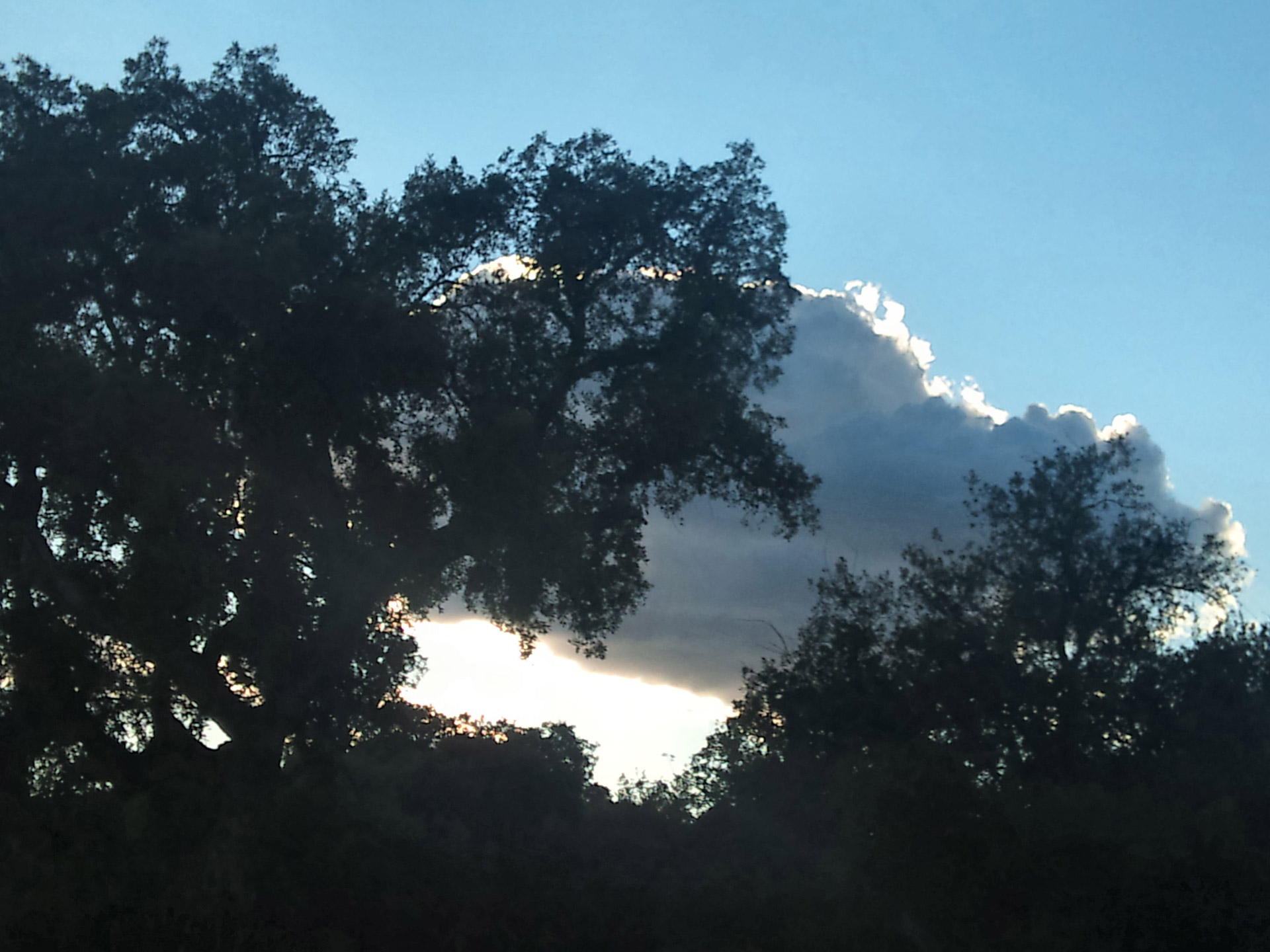 nature sky clouds free photo