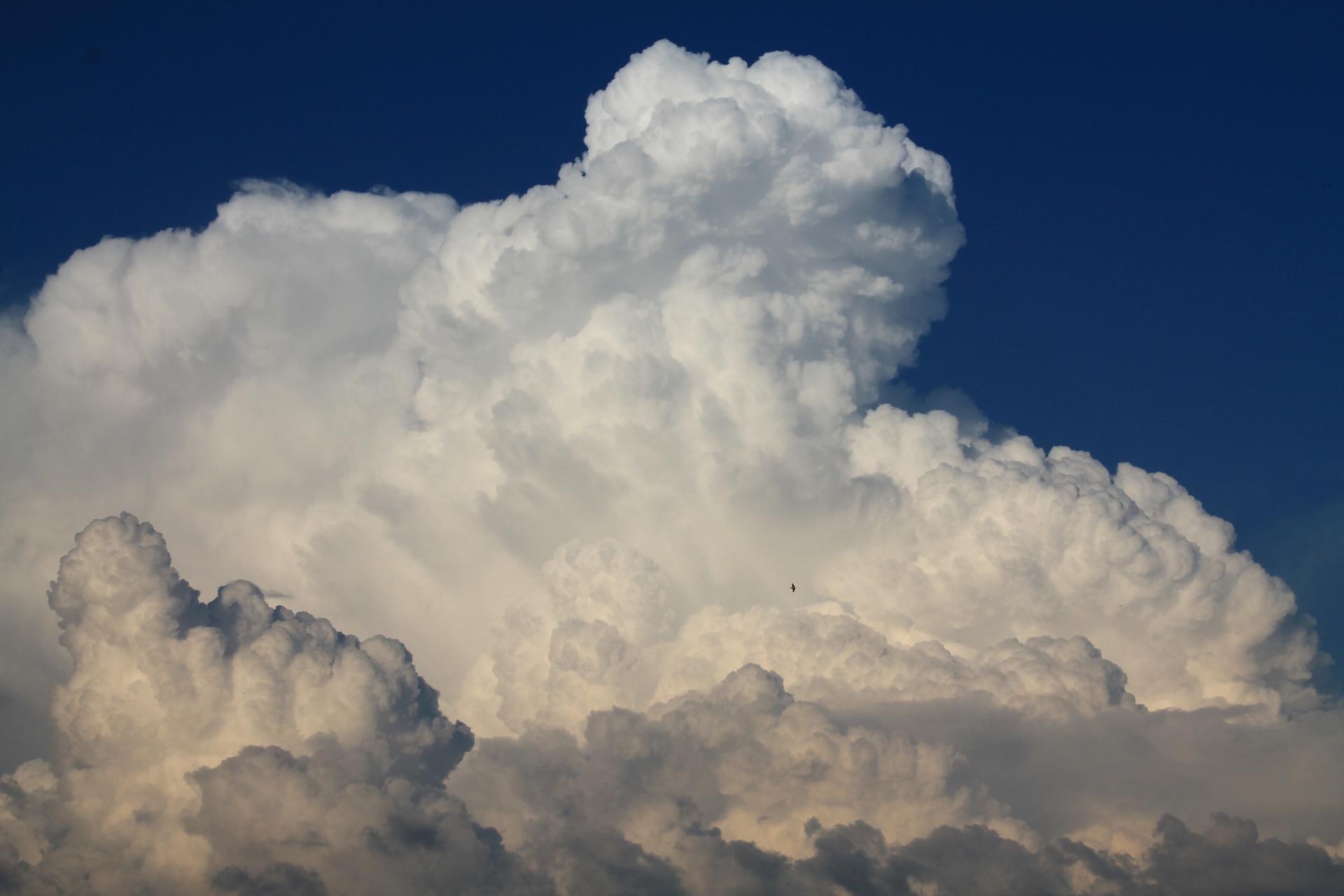 clouds cottony sky free photo