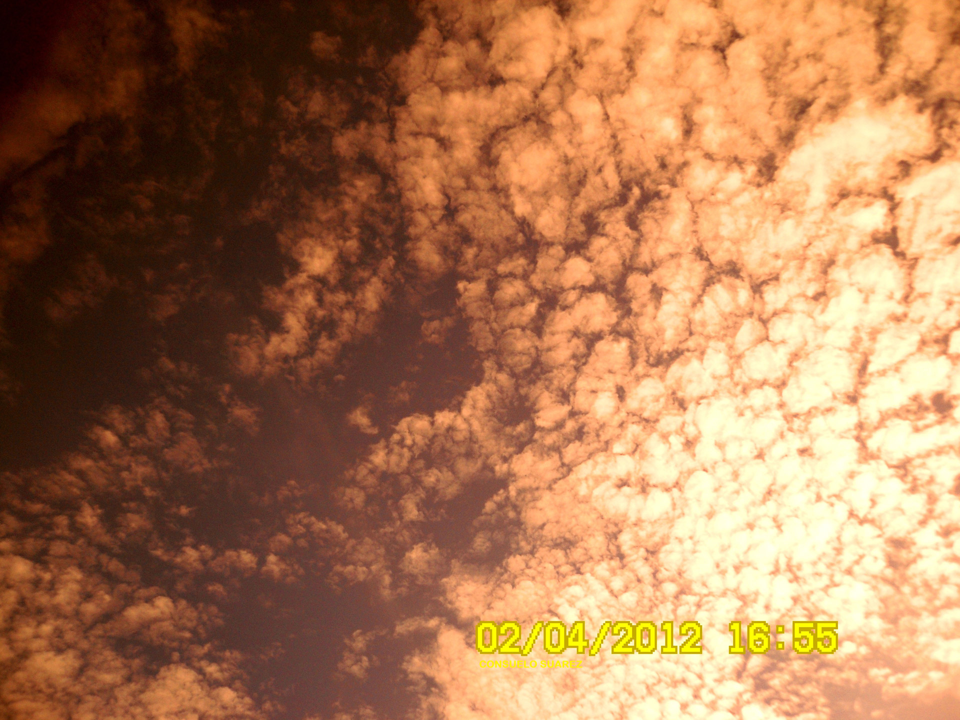 sunset clouds sunset clouds free photo