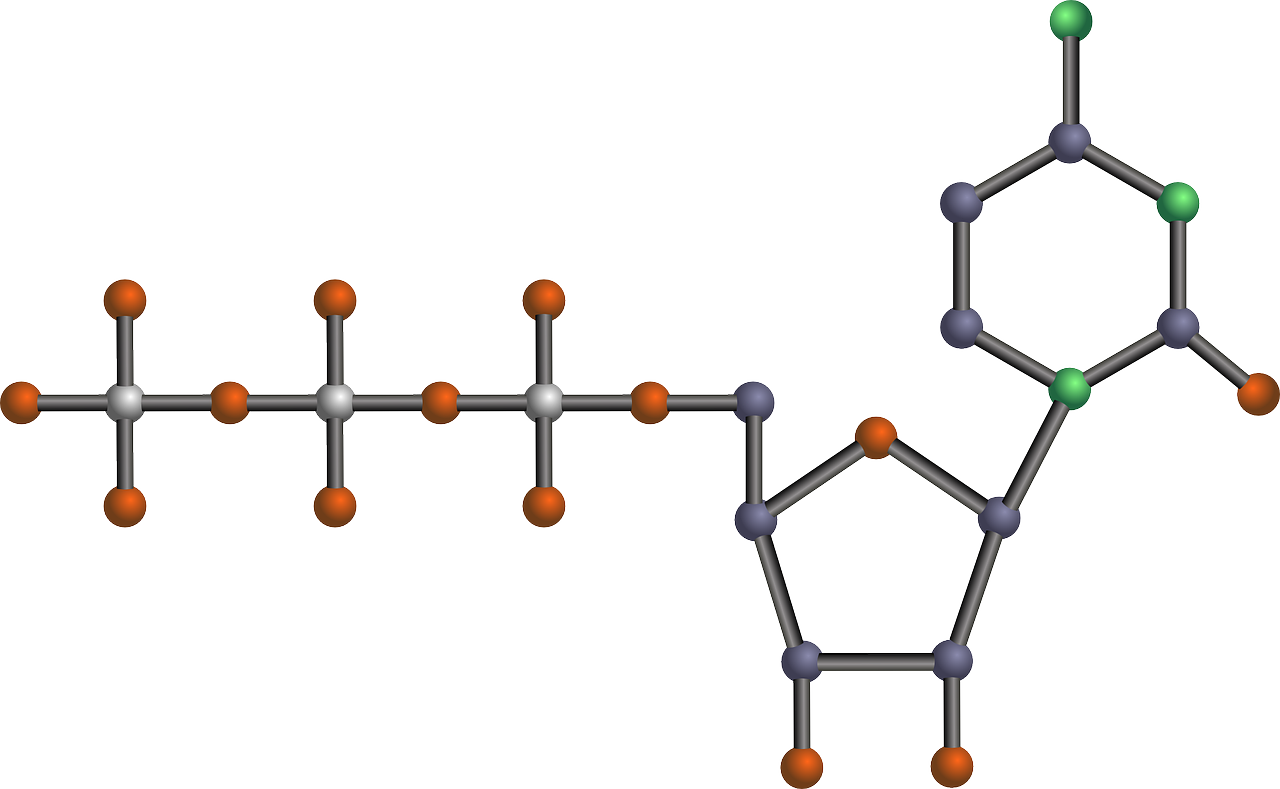 nucleotide dna pyrimidine free photo