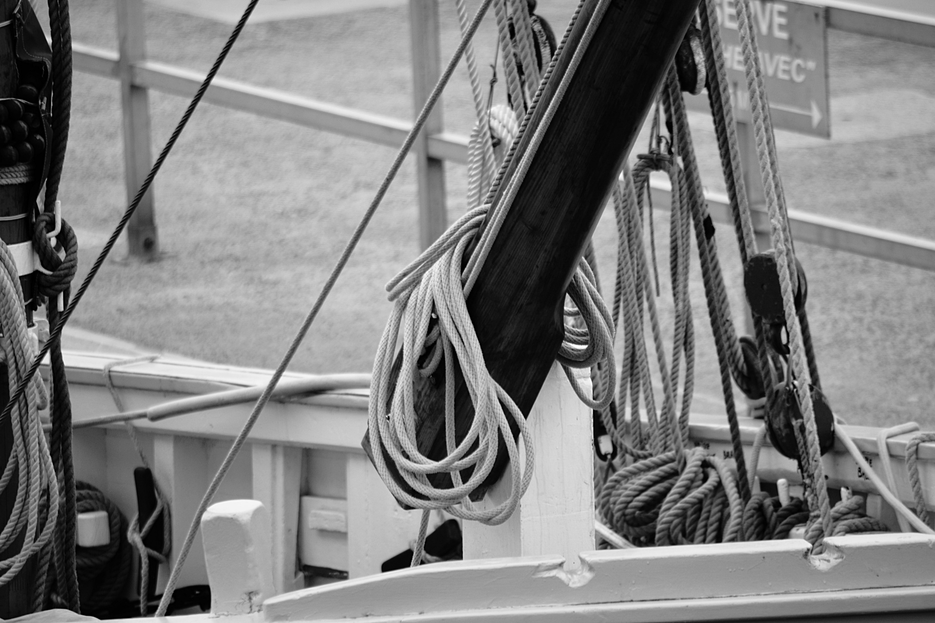 ropes marine knots black white free photo