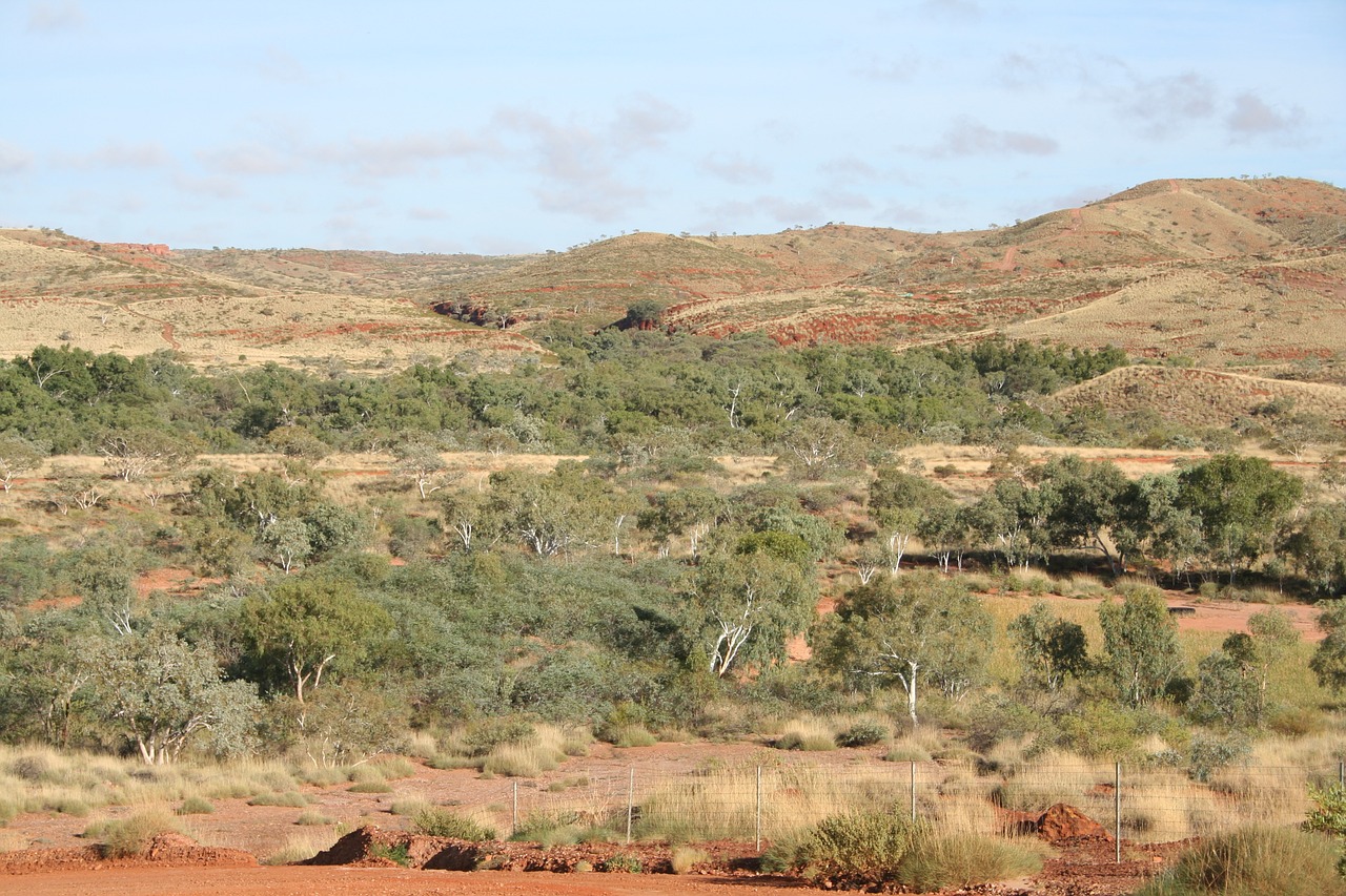nullangine outback remote free photo