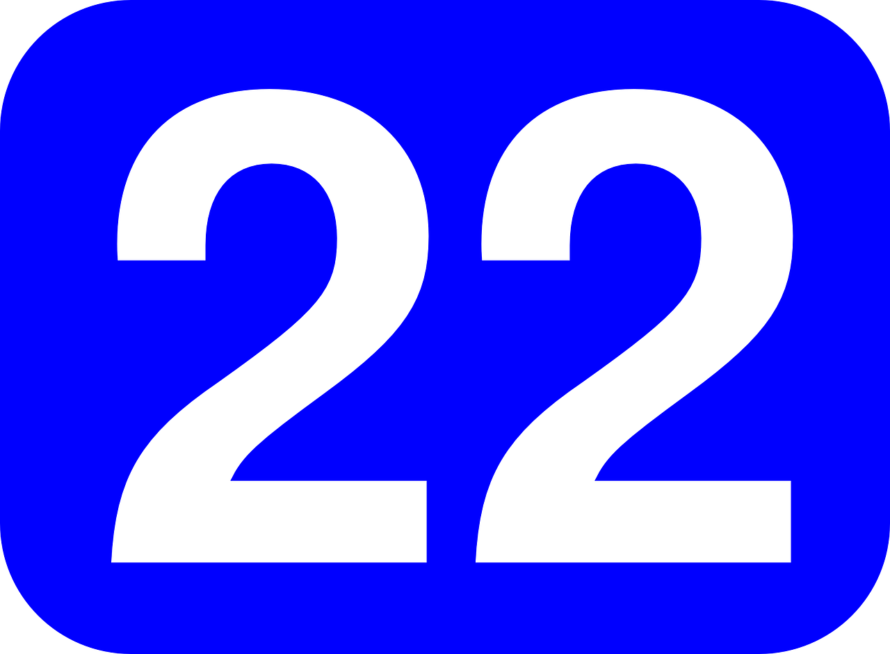 number 22 blue free photo