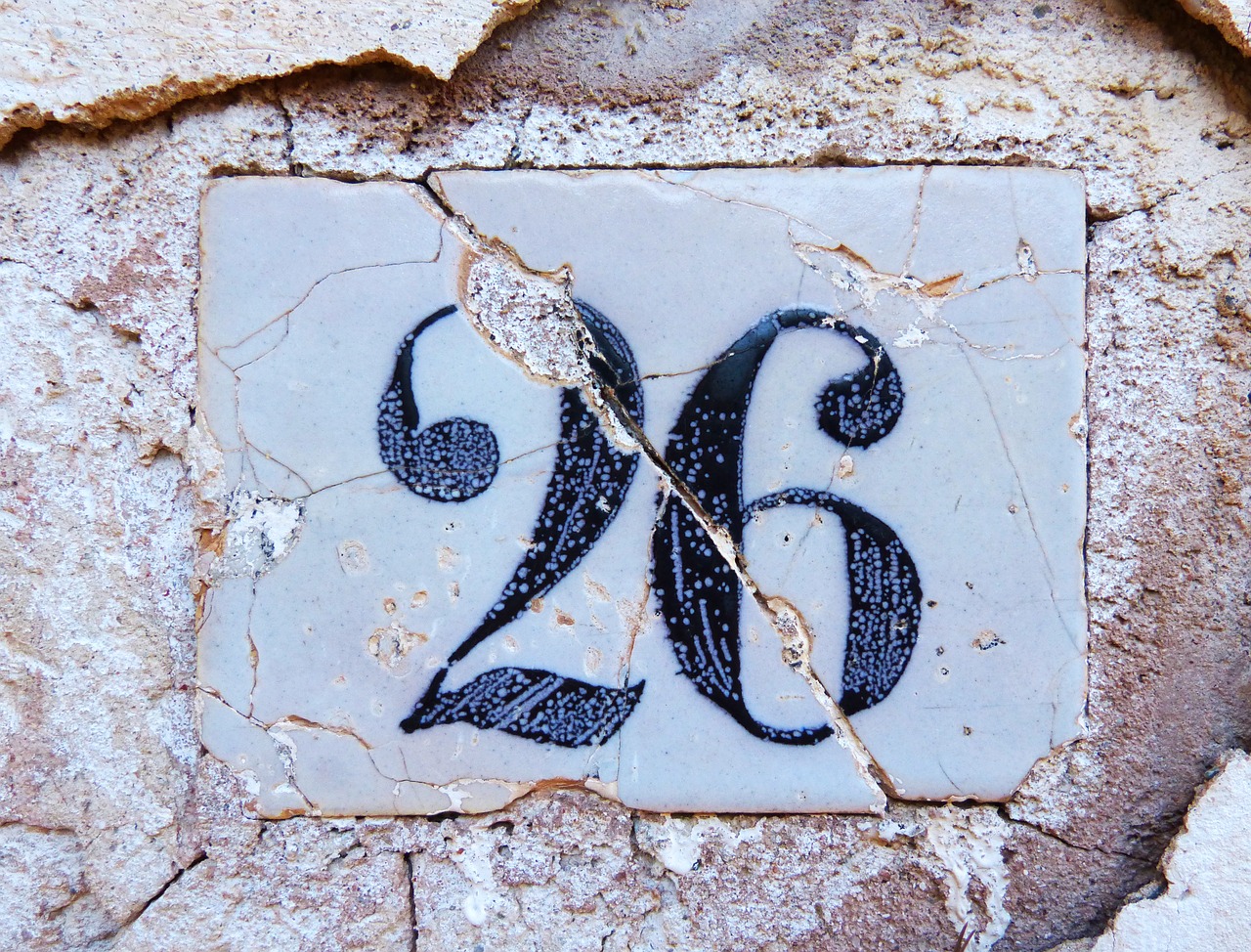 number 26 tile free photo