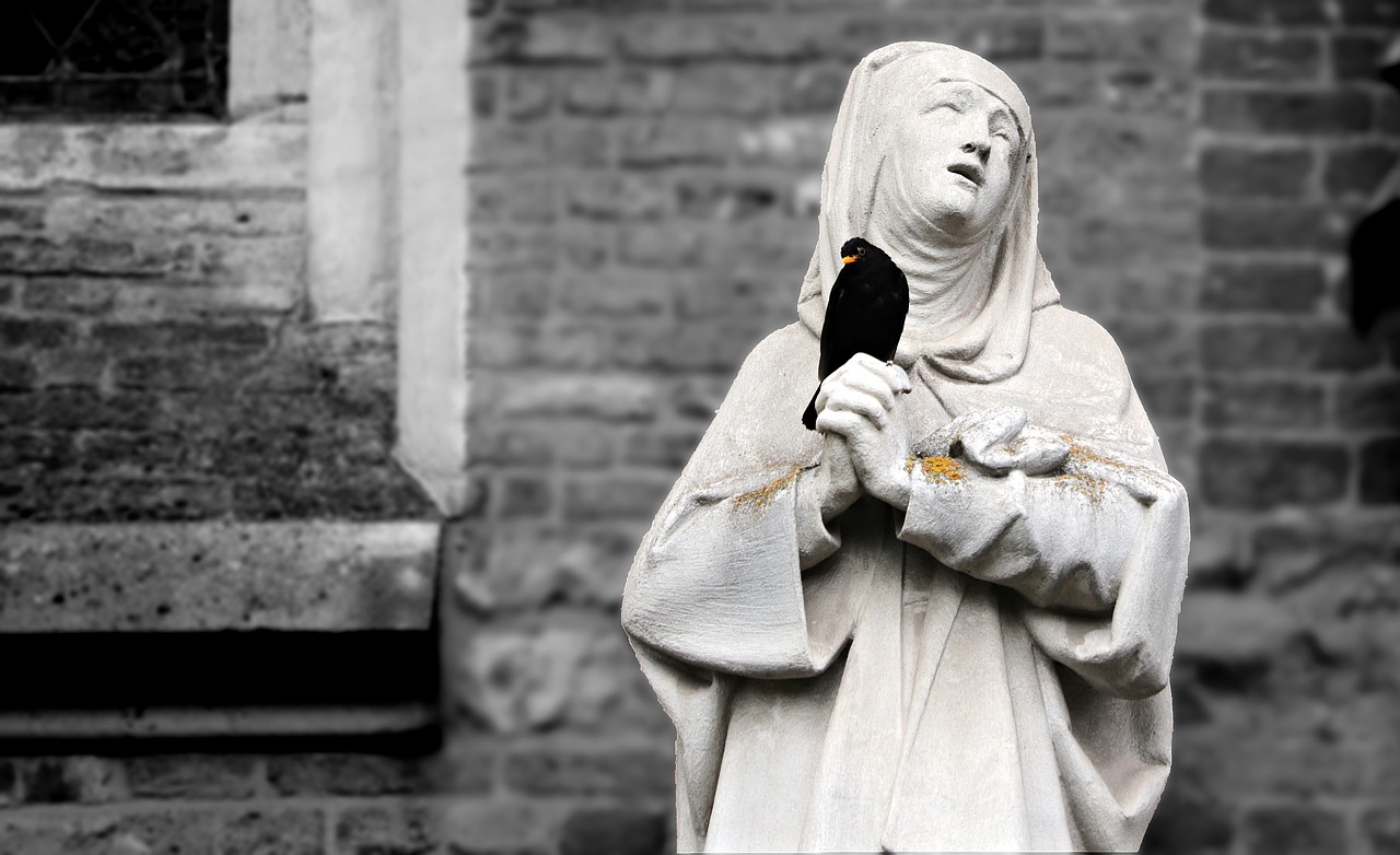 nun religious sister prayer free photo