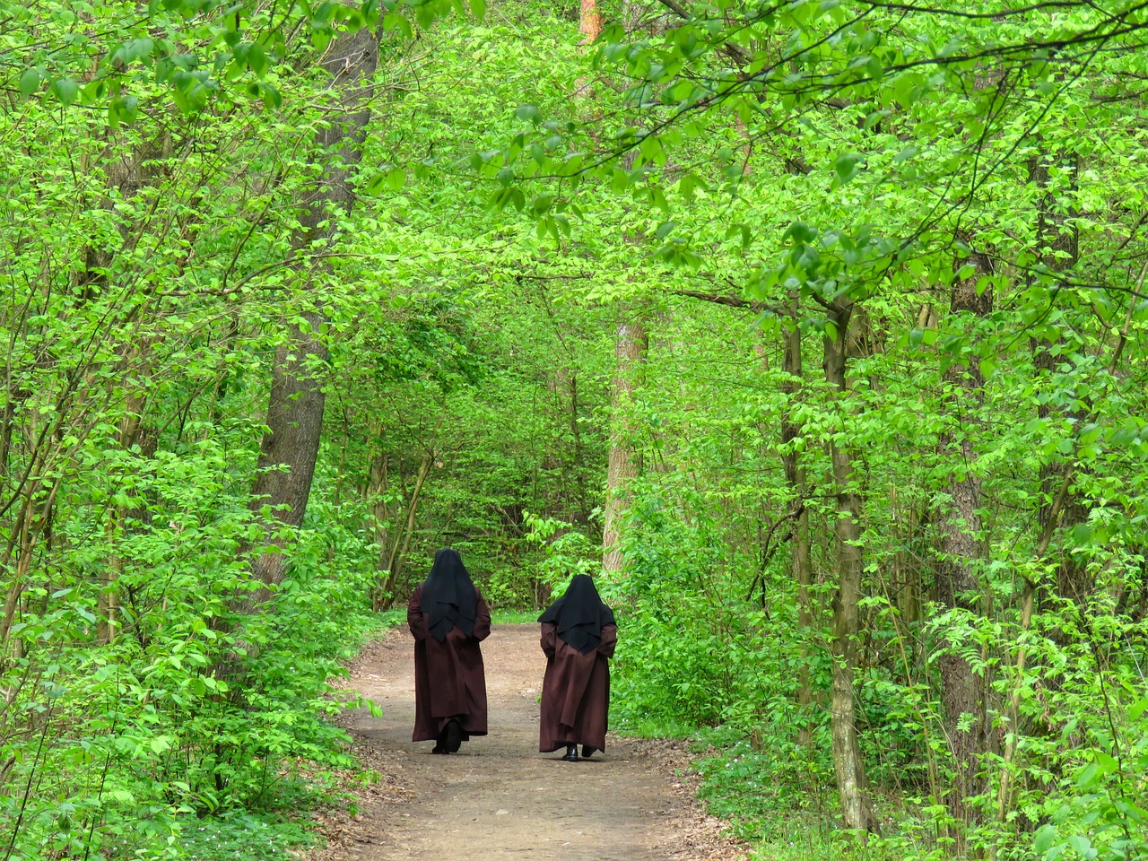 nuns spacer spring free photo