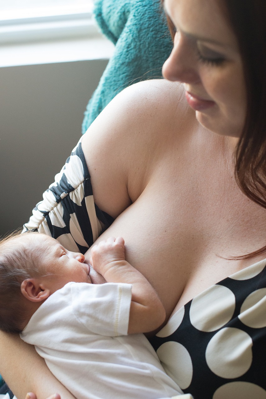 nursing breastfeeding breast free photo