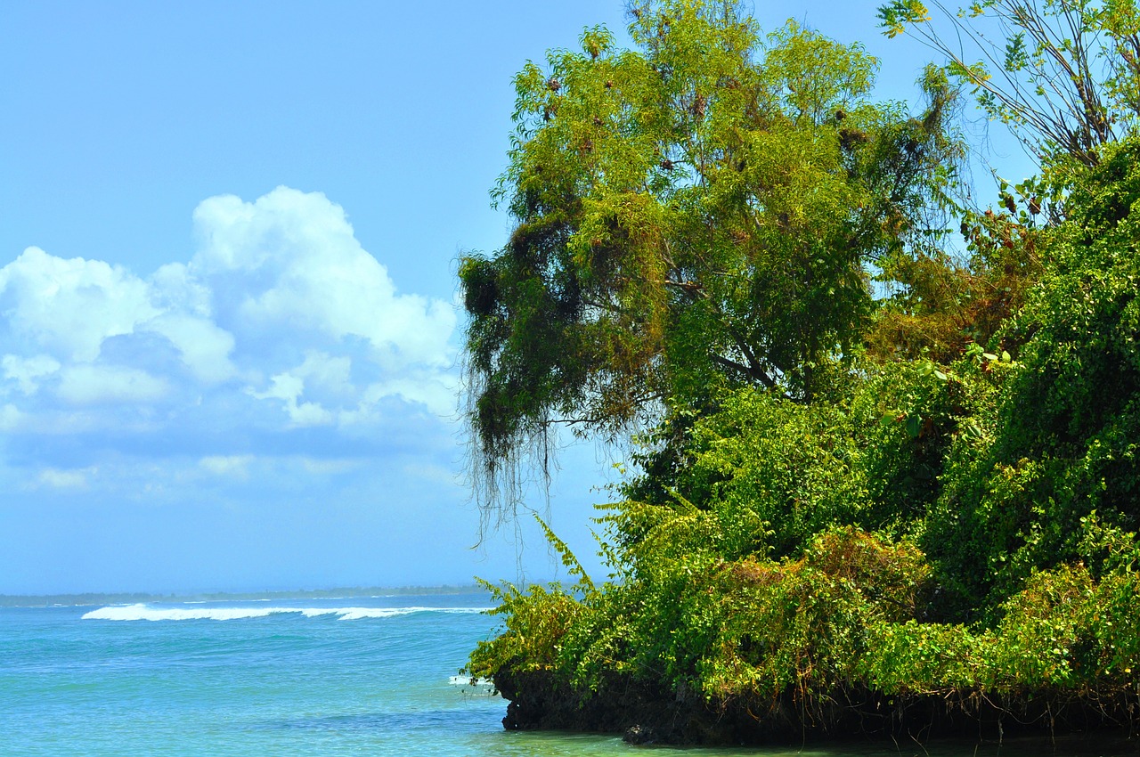 nusa dua beach bali free photo