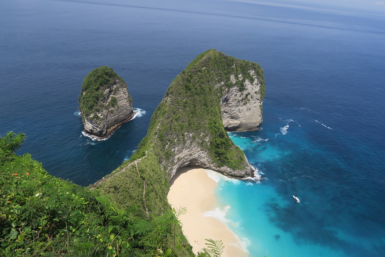 nusa penida  dinosaur  sea free photo