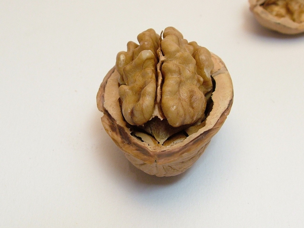 nut walnut half nut free photo