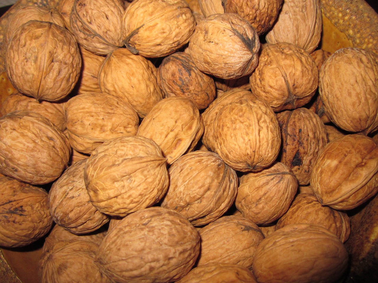 nut nuts walnut free photo