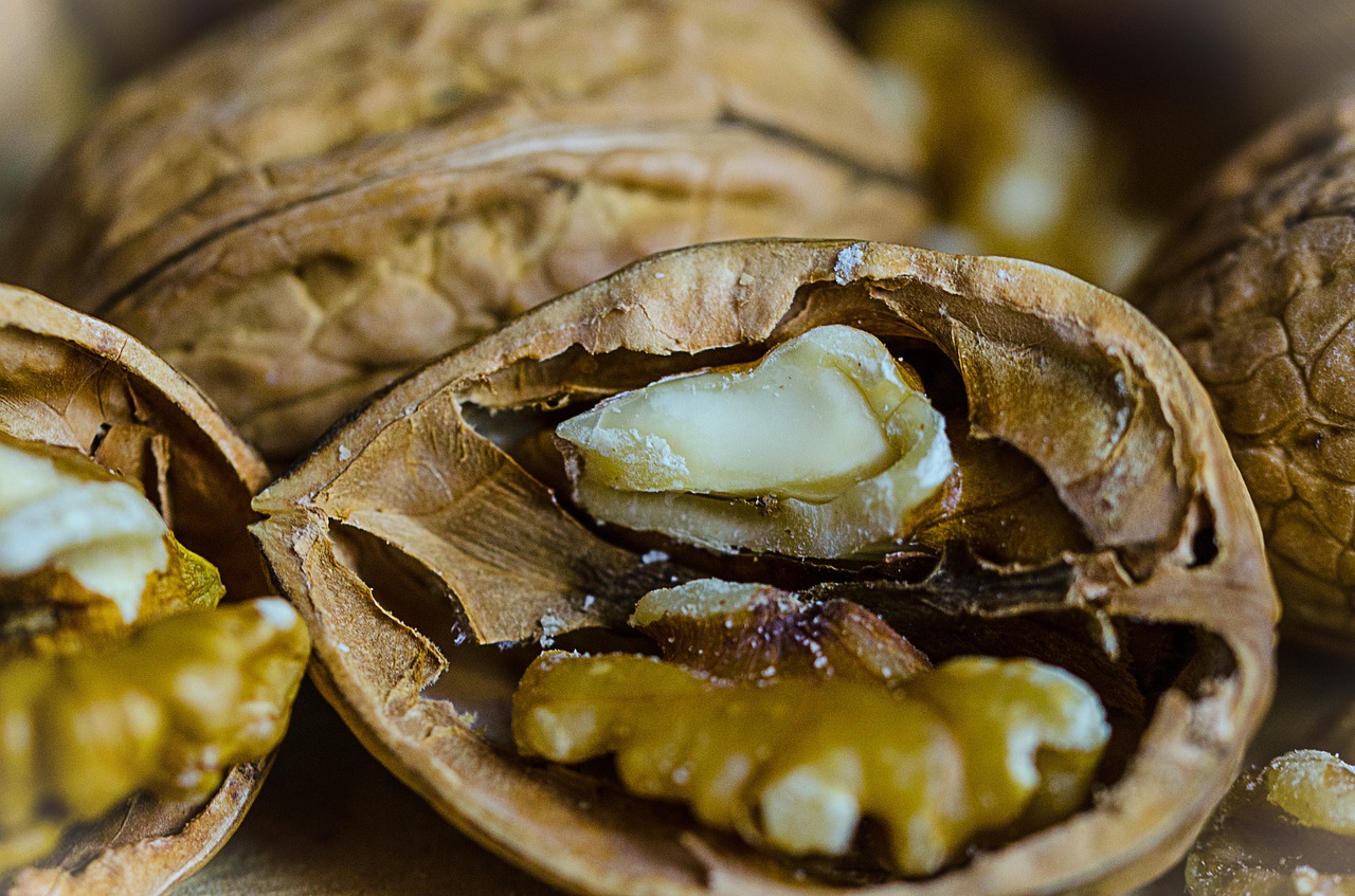 nut walnut food free photo
