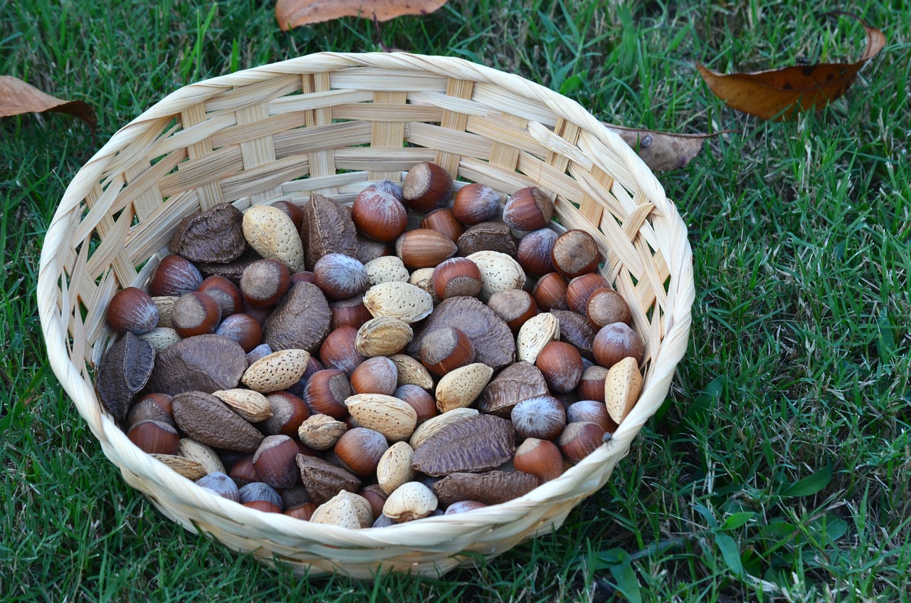 nut food healthy free photo