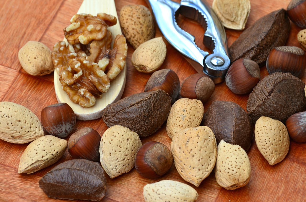 nuts food healthy free photo