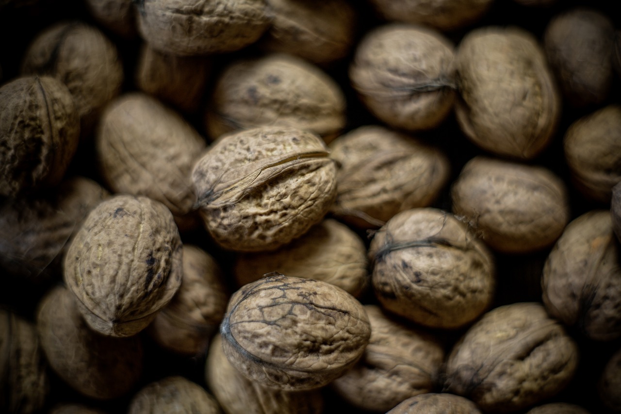 nut walnut nuts free photo