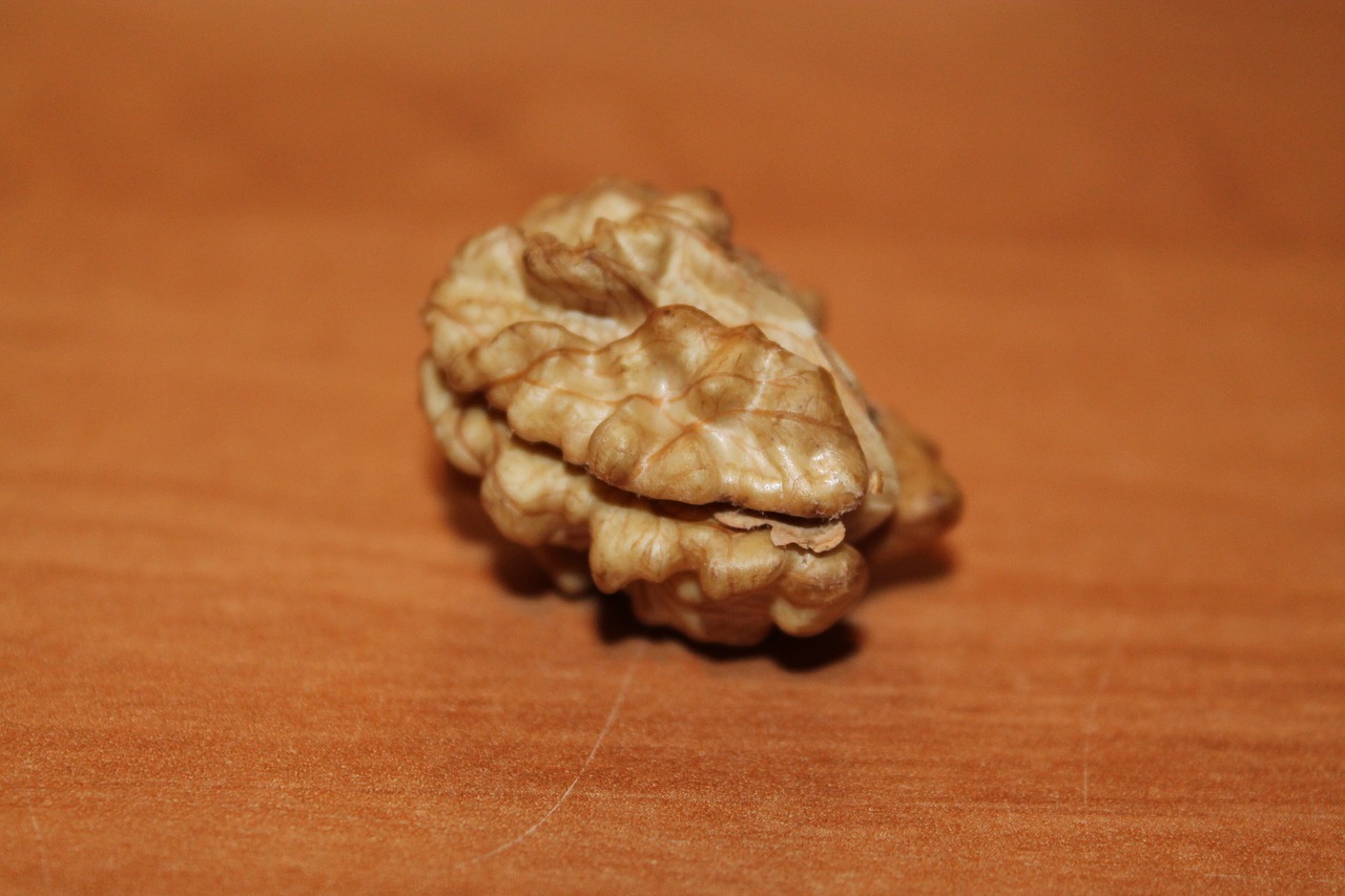 nut walnut fruit bowl free photo