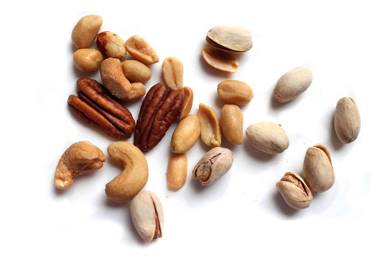 nut seed food free photo