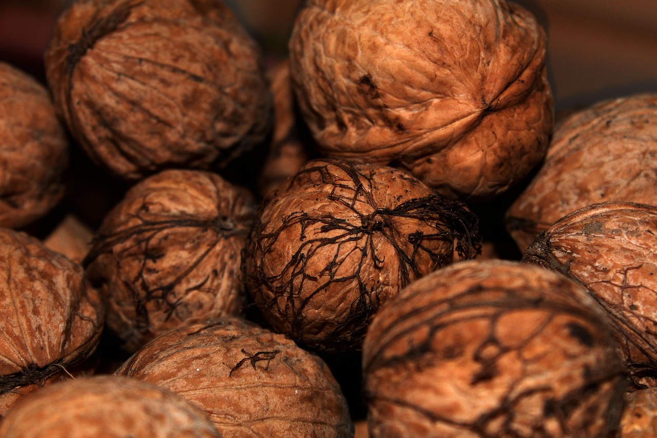 nut food walnut free photo