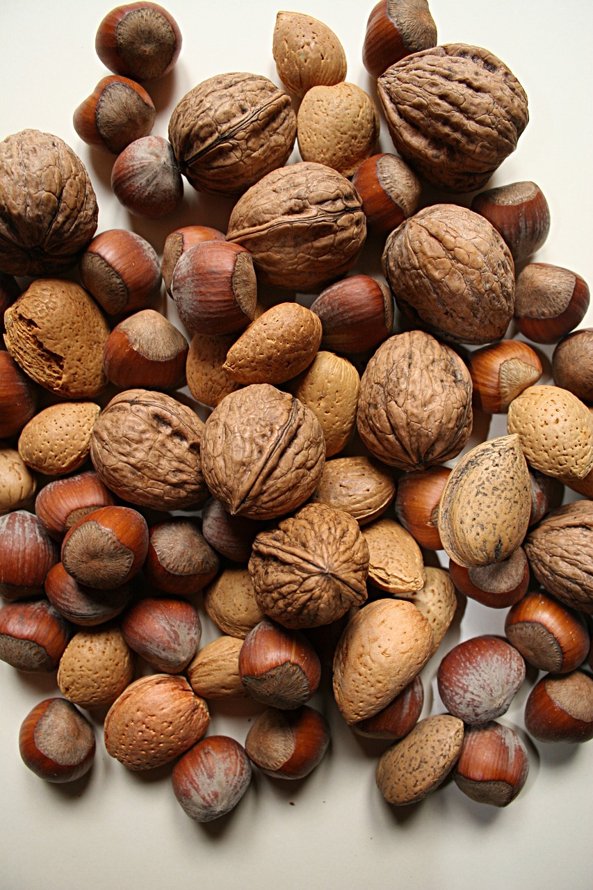 nut  nuts  food free photo
