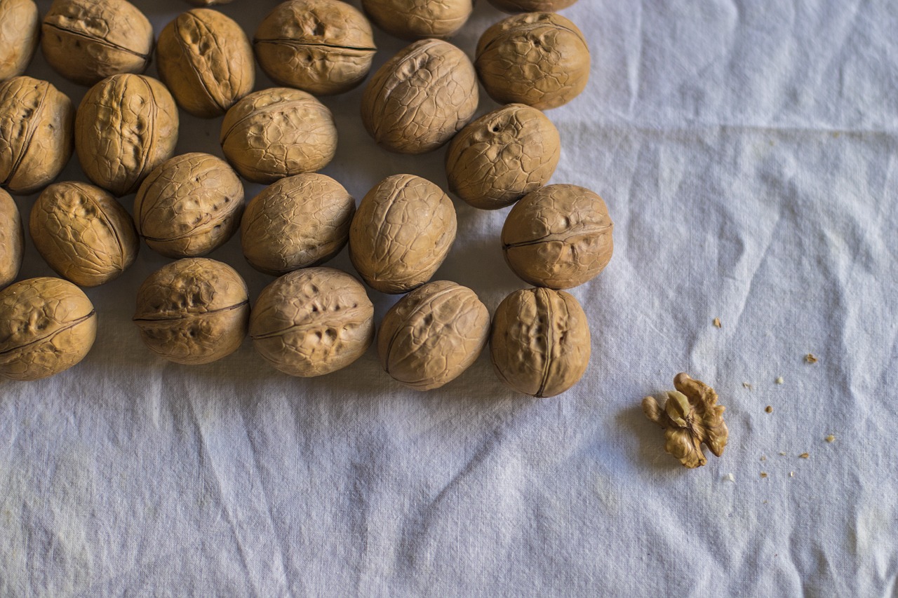 nut  walnut  healthy free photo