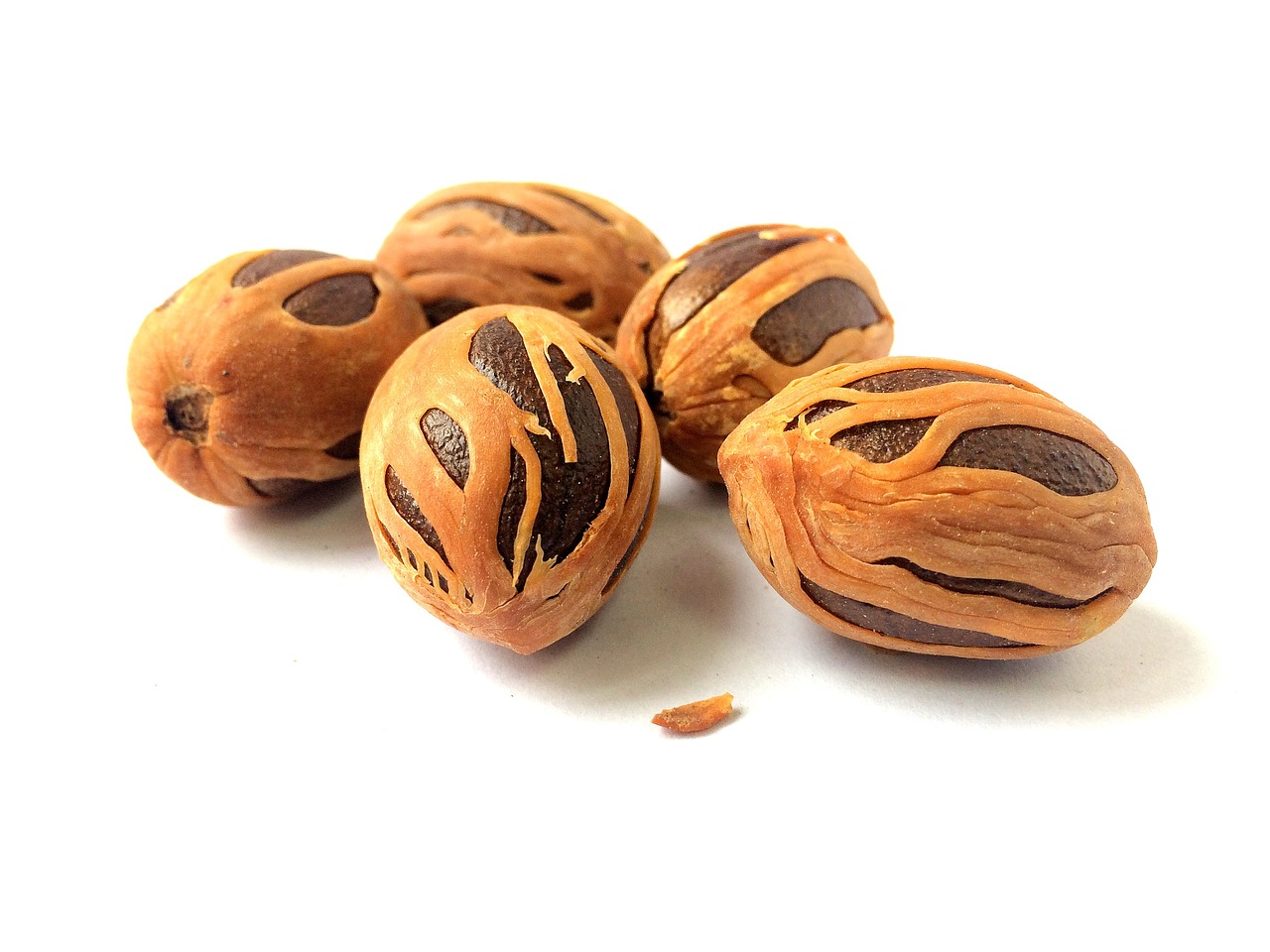 india coconut muskat nutmeg free photo