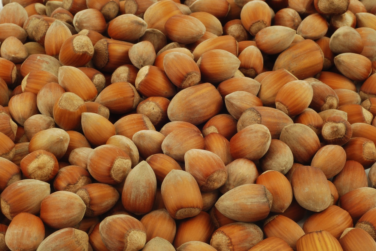 nuts hazelnuts fruit free photo