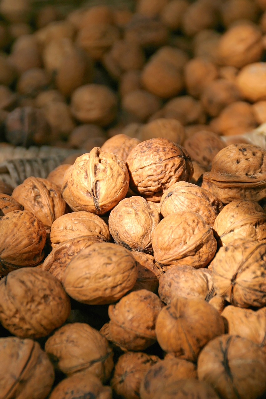 nuts walnuts market free photo