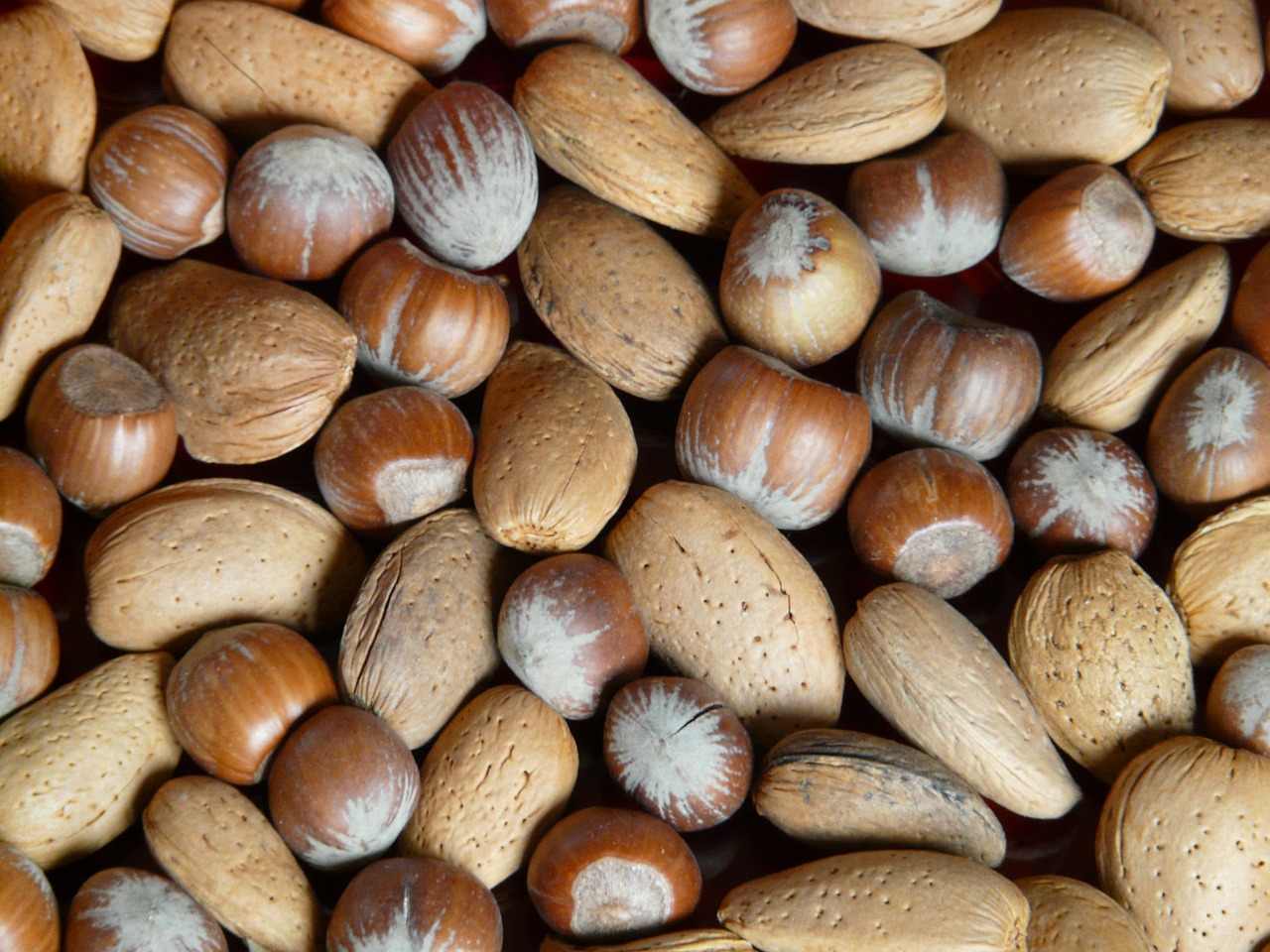 nuts almonds hazelnuts free photo
