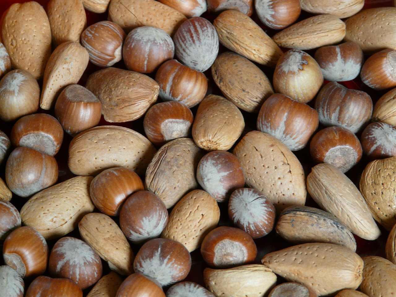 nuts hazelnuts almonds free photo