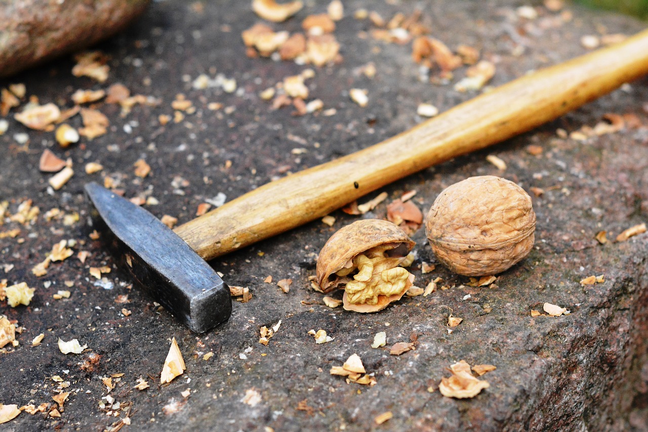 nuts walnut hammer free photo