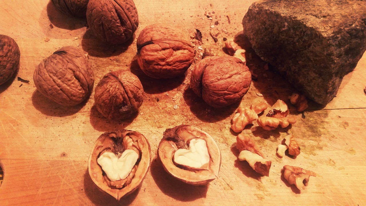 nuts walnuts shell free photo