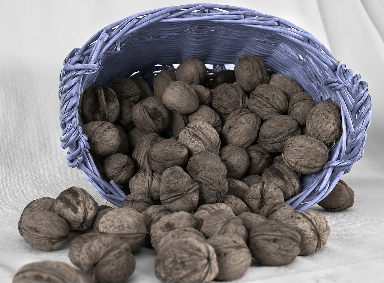 nuts basket brown free photo