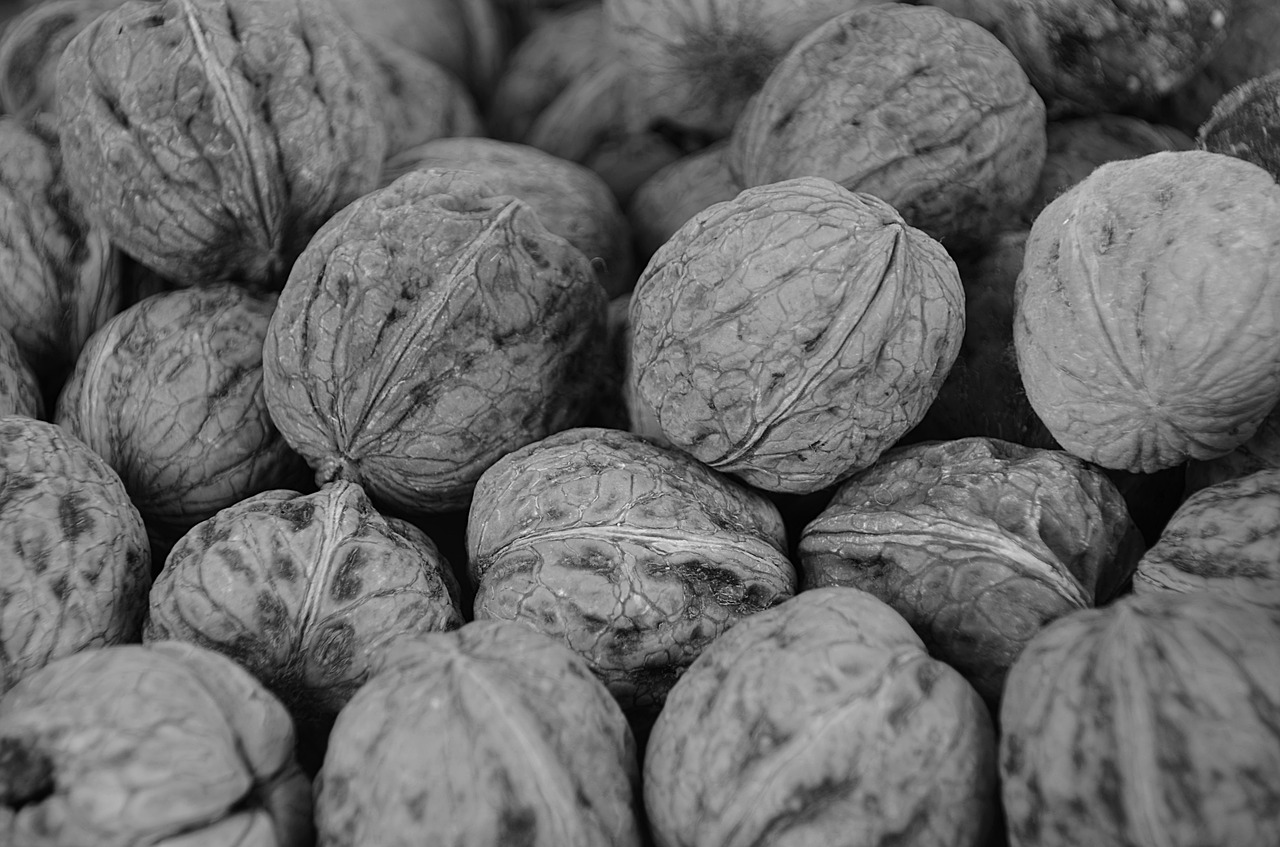 nuts dried fruit power free photo