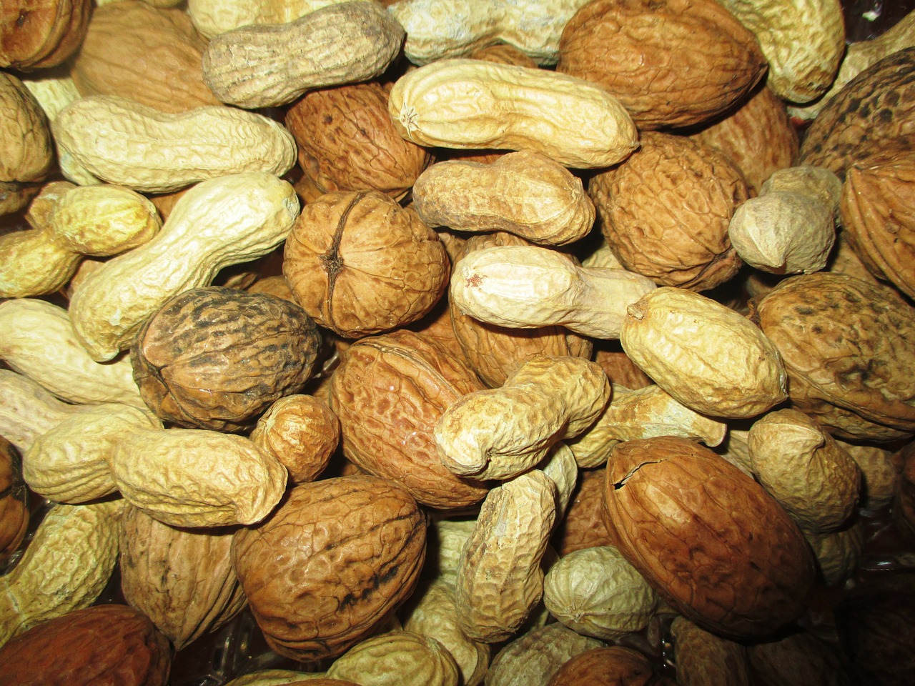 nuts peanuts walnuts free photo
