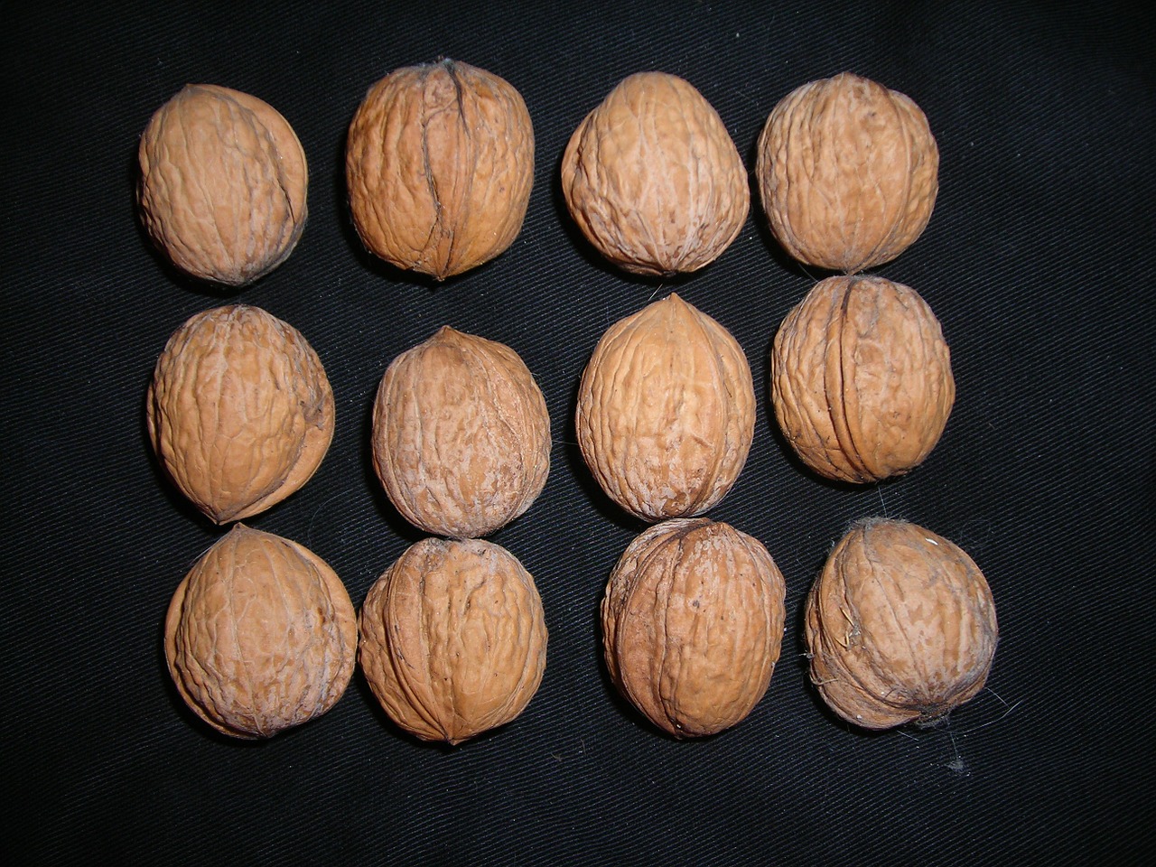 nuts walnuts buttons free photo