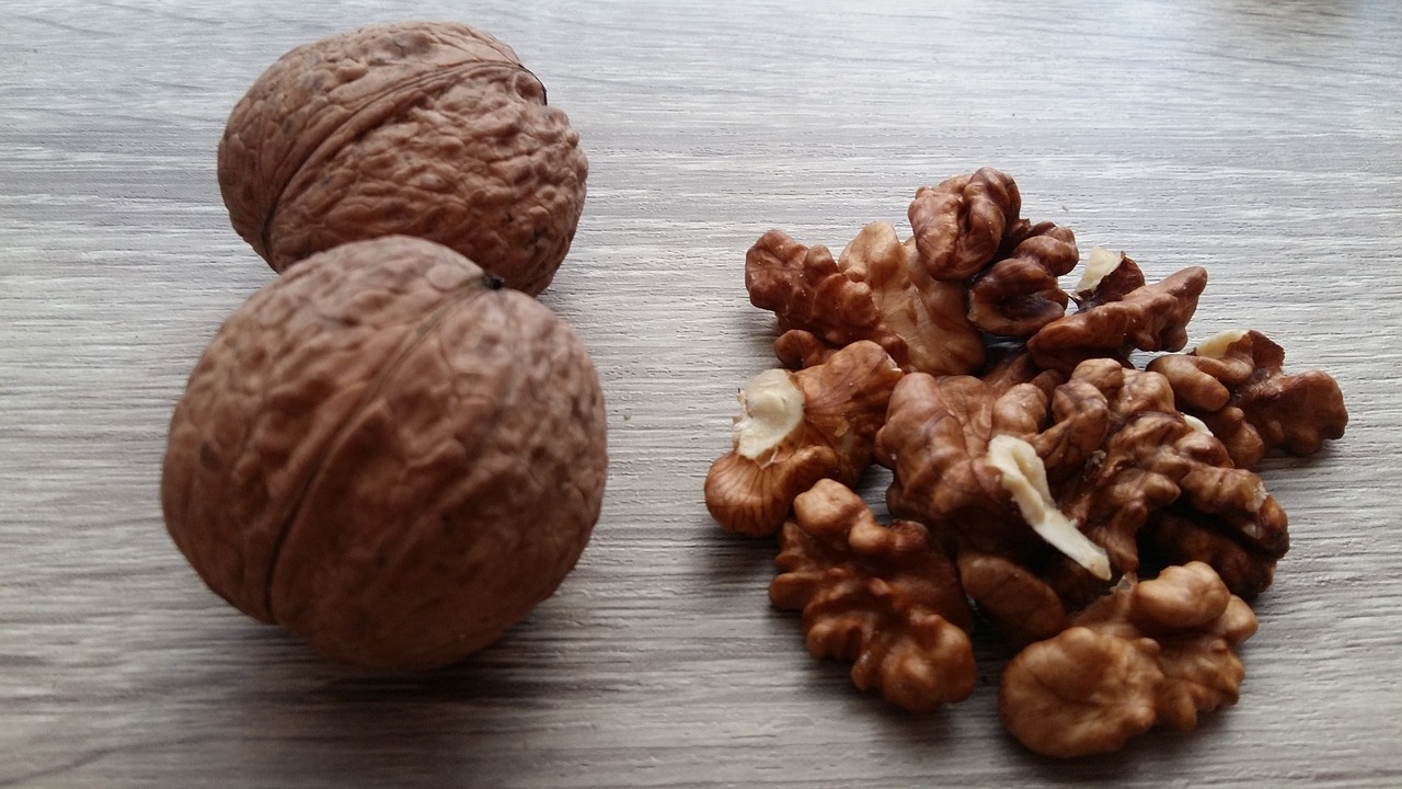nuts  nut  recipes free photo