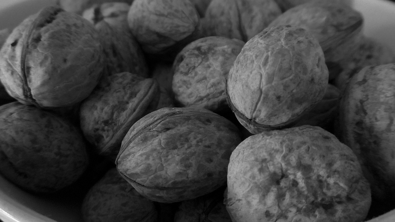 nuts  walnuts  grayscale free photo