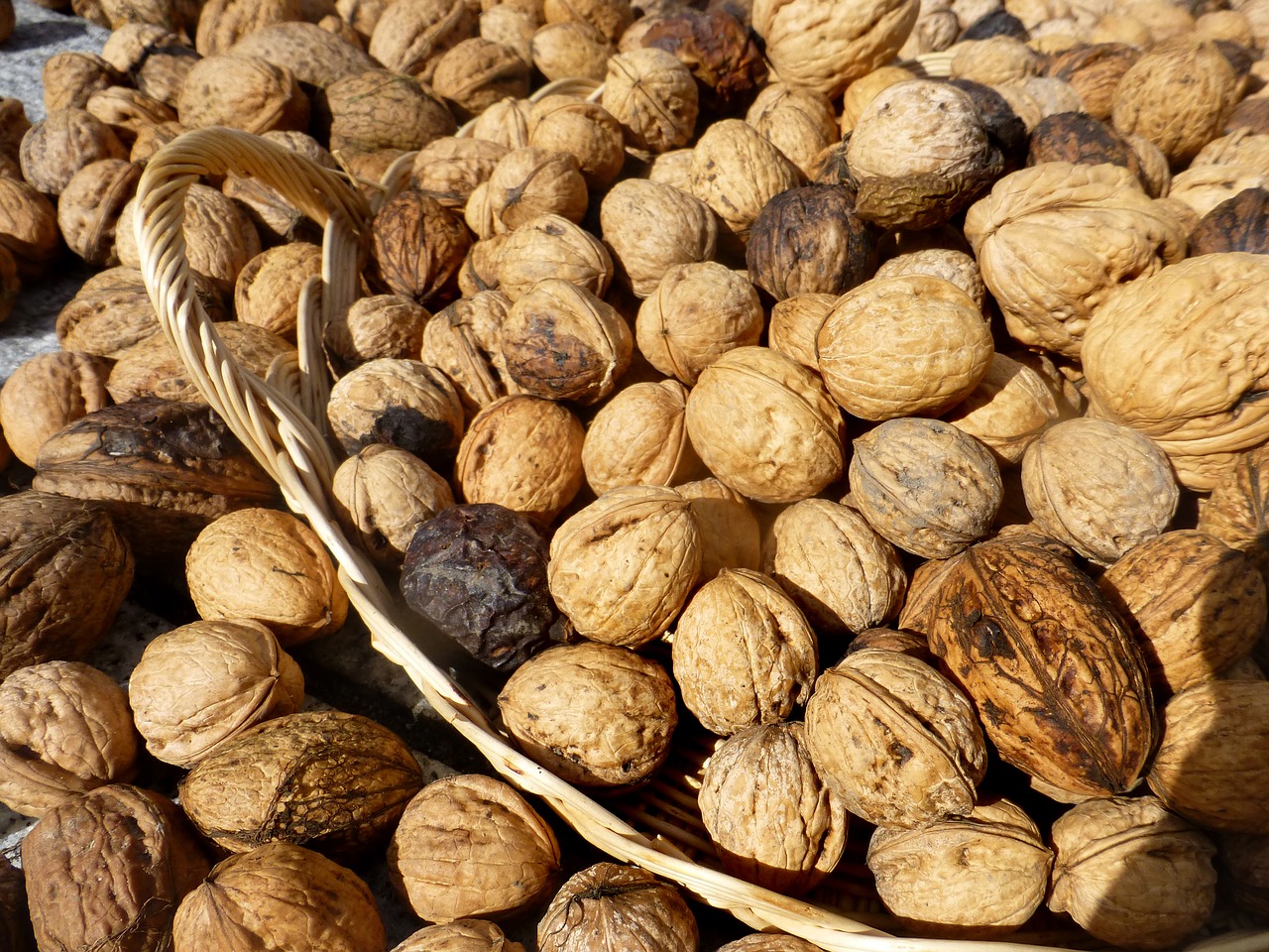 nuts  walnuts  autumn free photo