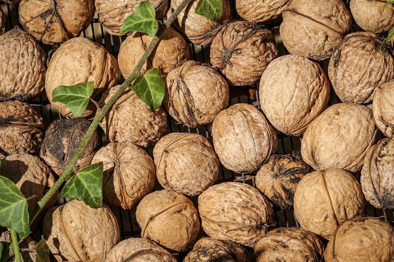 nuts  tree nuts  walnut free photo
