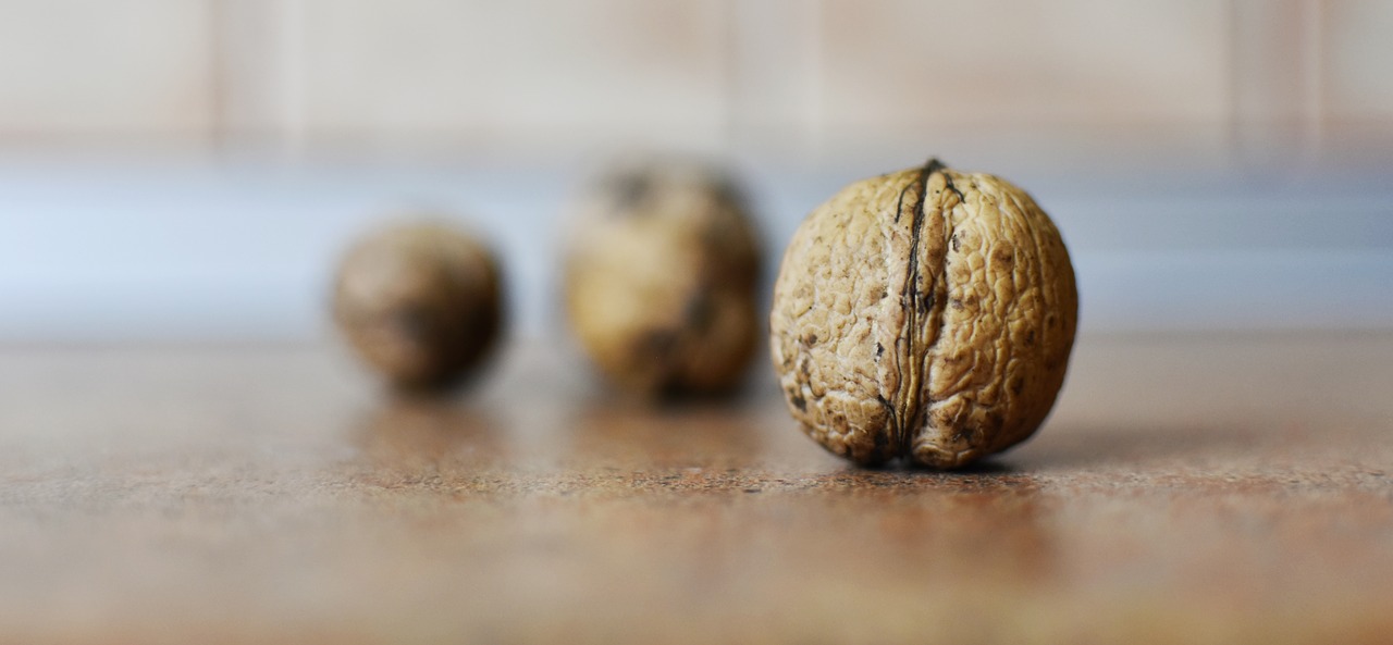 nuts  walnut  healthy free photo
