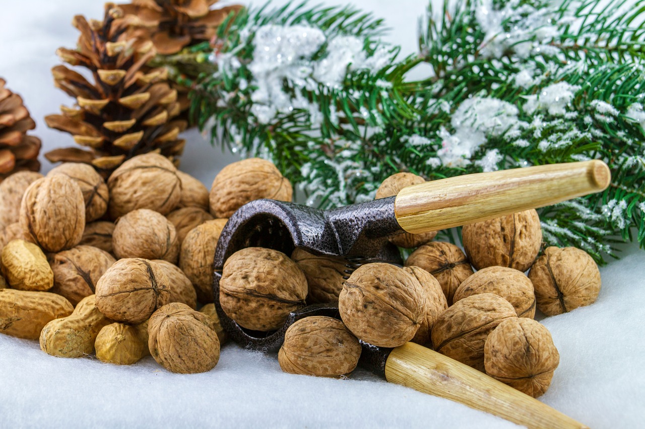 nuts  advent  nutcracker free photo