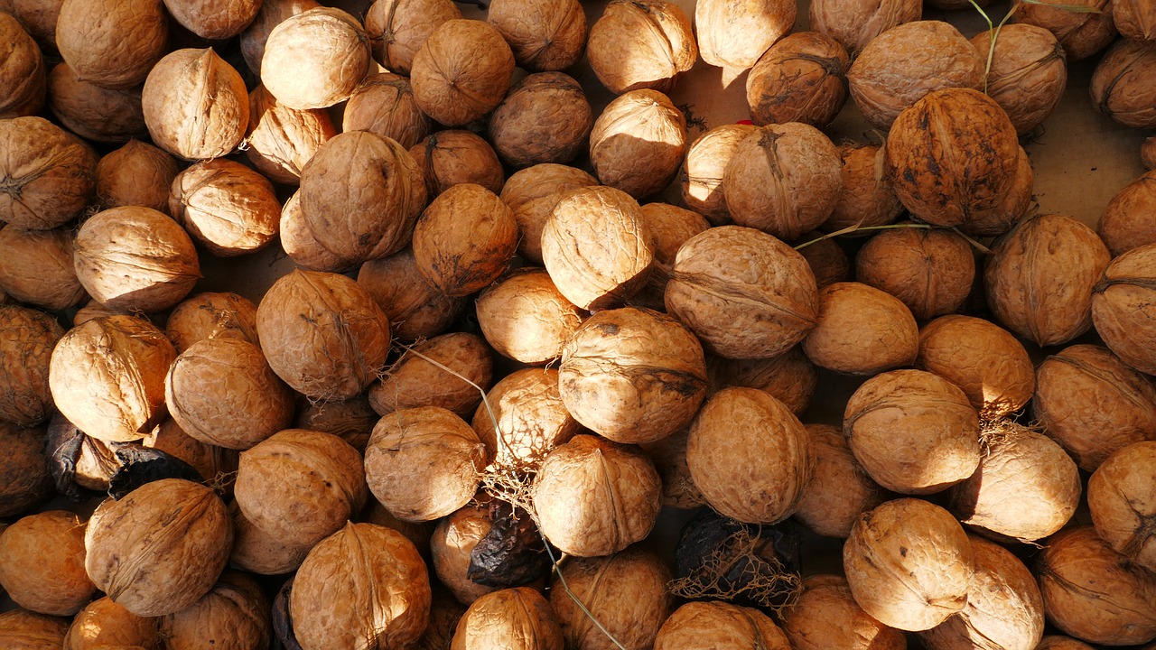 nuts  walnuts  food free photo