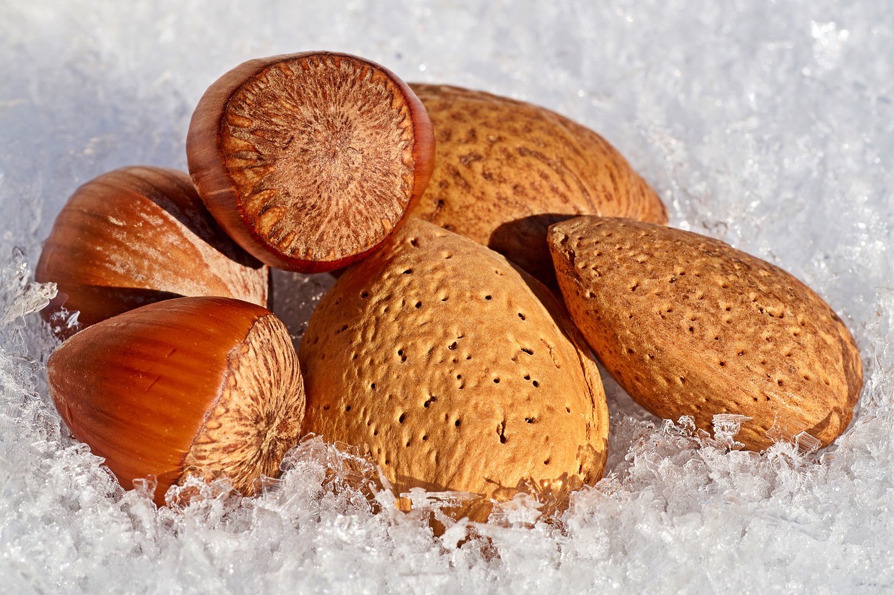 nuts  snow  hazelnuts free photo