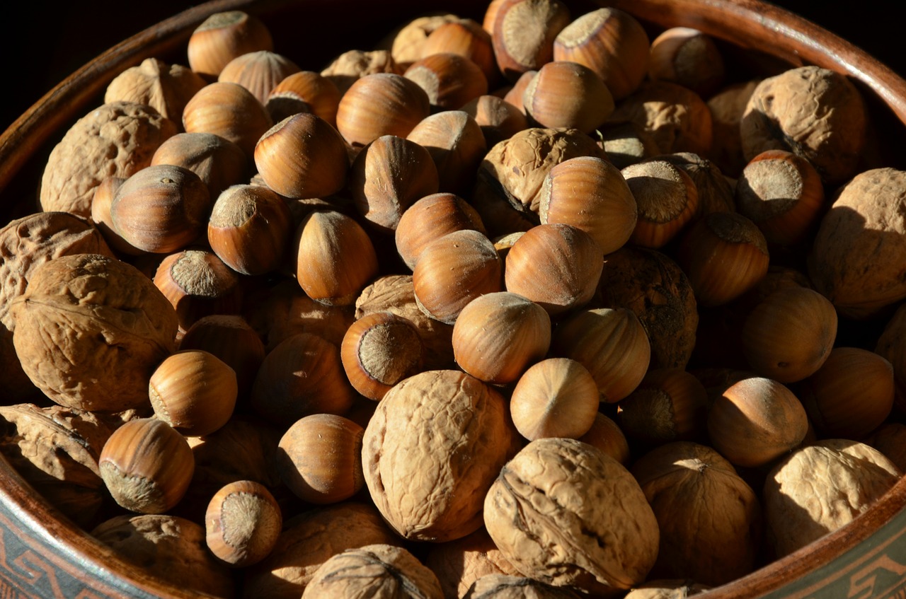 nuts hazelnuts walnuts free photo