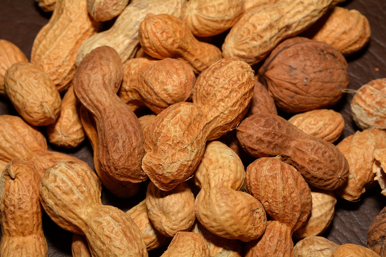 nuts peanuts healthy free photo