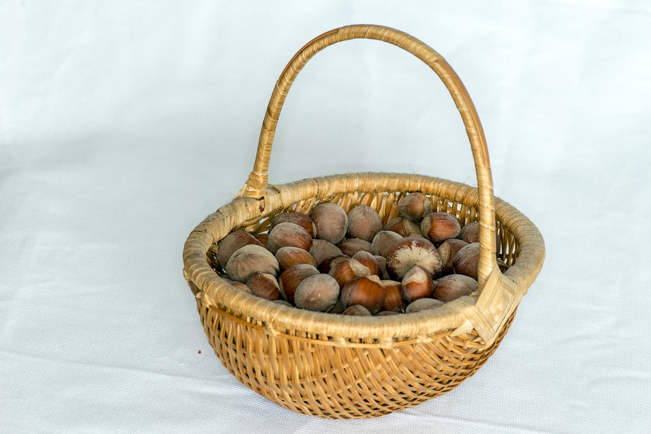 nuts hazelnuts basket free photo