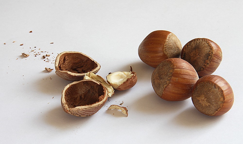 nuts hazelnuts shell free photo